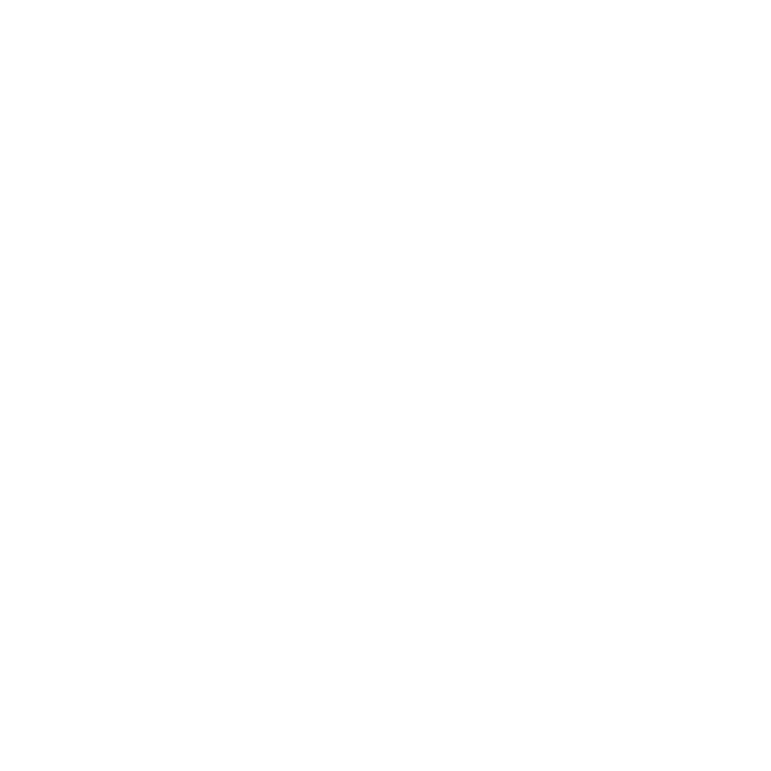 ToolMaster_Logo_1.0_Final_WhiteRR