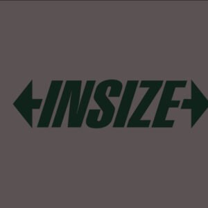 Insize